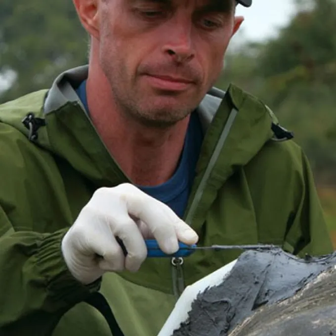 Dr Stephen Blake applying a tracking tag to a tortoise.